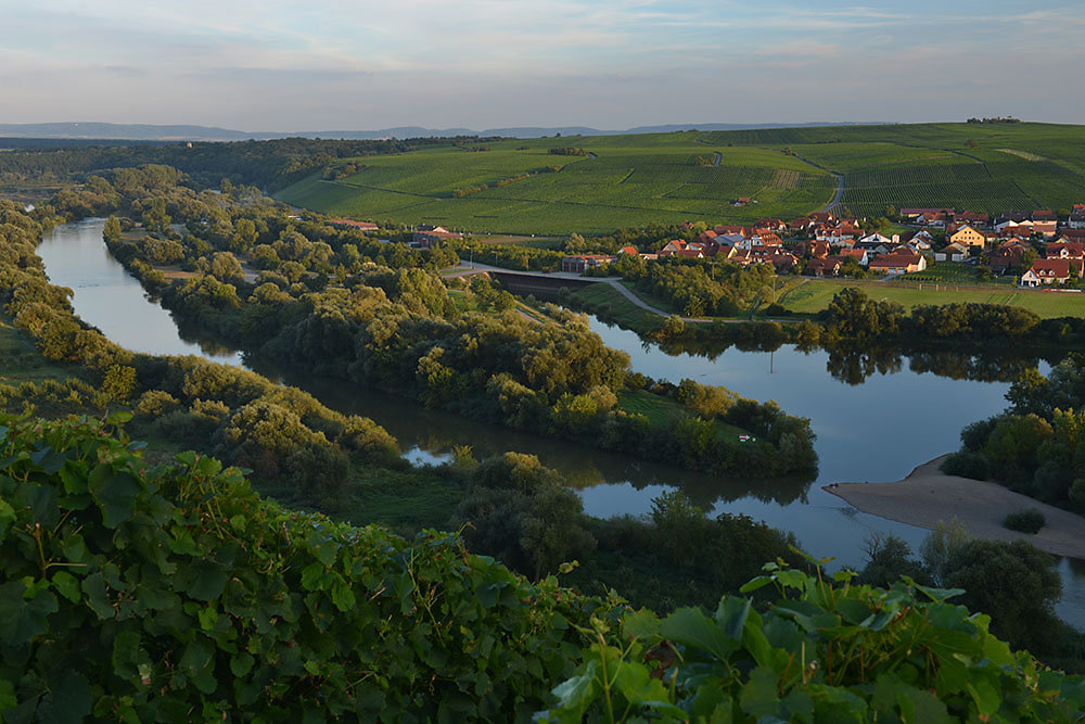 Main-Radweg