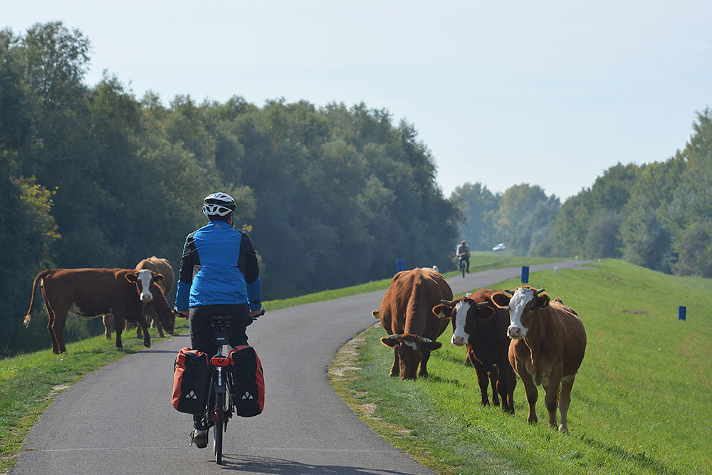 Theiß-Radweg