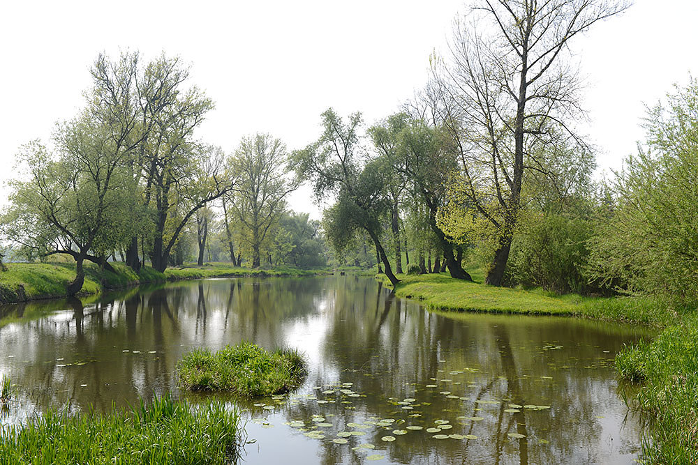 Moldau-Radweg